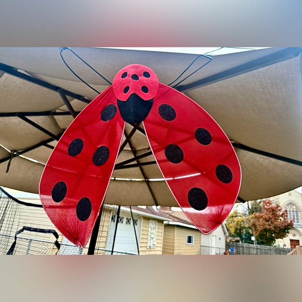 LADYBUG | Costume Set with Wings Headband and Wand | Kids or Adult Size OS - Picture 6 of 15